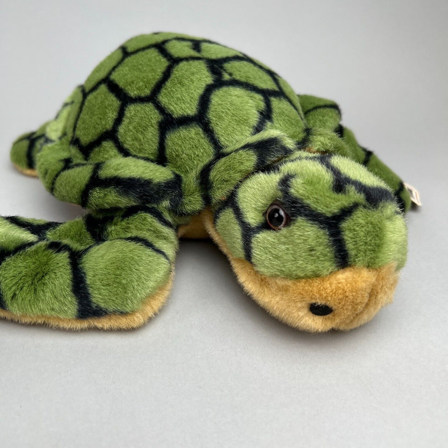 A&A Plush Soft N' Cuddly Green Turtle Stuffed Animal 9"