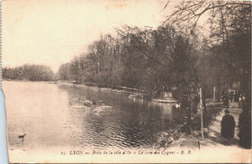 Vintage French Postcard - Lyon Parc de la Tete d'Or, Le coin des cygnes - ER