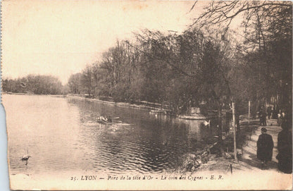 Vintage French Postcard - Lyon Parc de la Tete d'Or, Le coin des cygnes - ER