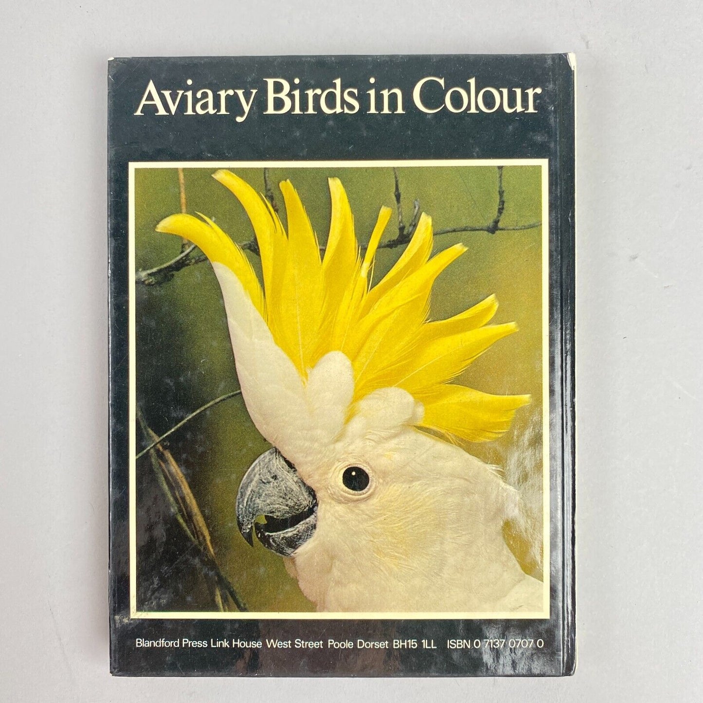 Aviary Birds in Colour by Dennis Avon, Tony Tilford, and Frank Woolham Hardcover