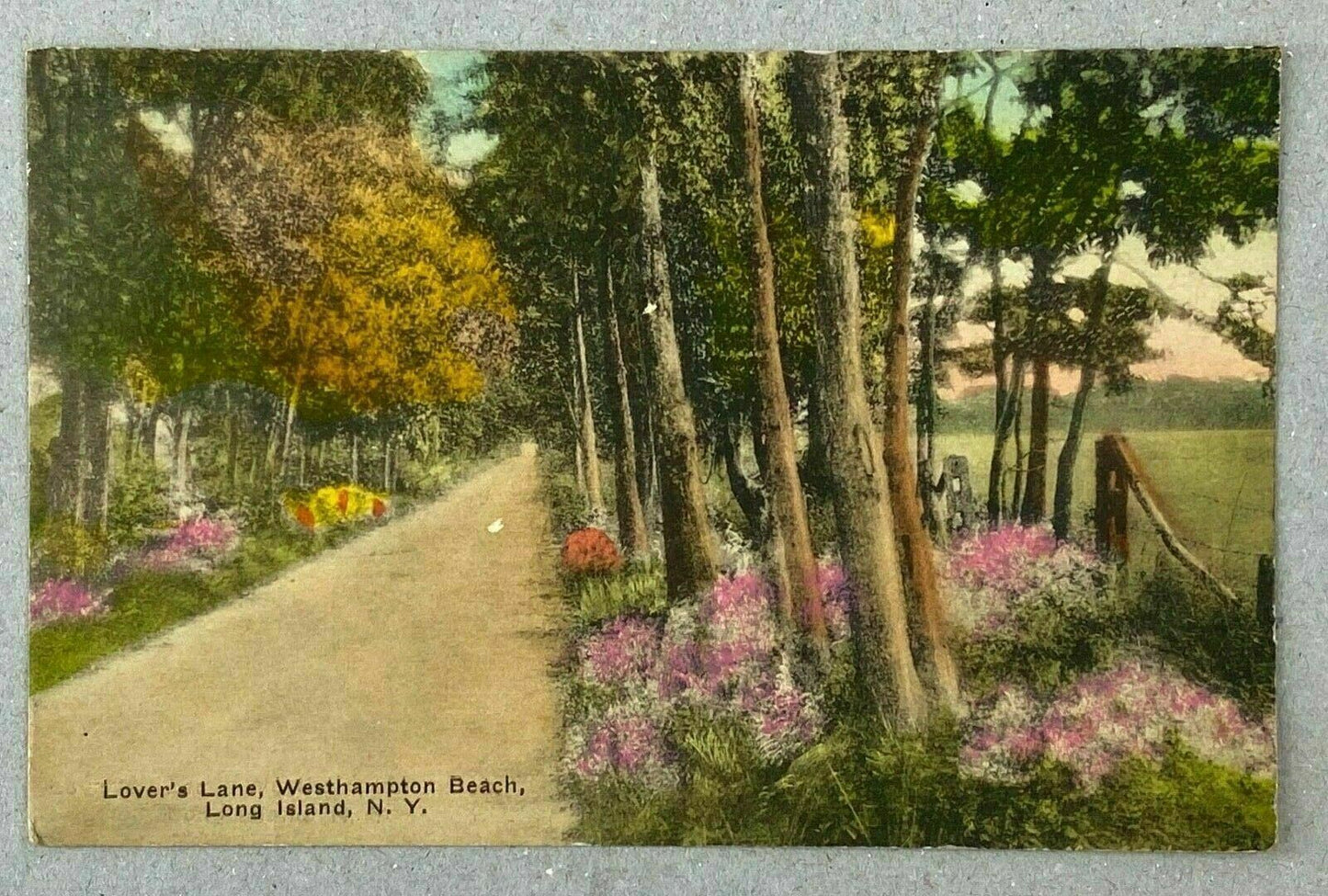 Antique Postcard: Lover’s Lane, Westhampton Beach, Long Island, N.Y.