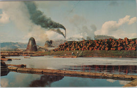 Vintage Postcard Log Pond and Sawmill Typical of This Area, Berkeley, CA