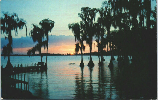 Vintage Postcard Silhouettes Cypress Trees - Cypress Gardens, Florida