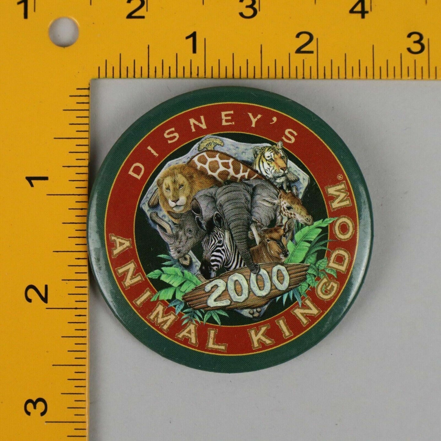 Vintage Button Pinback Disney’s Animal Kingdom 2000 2.5”