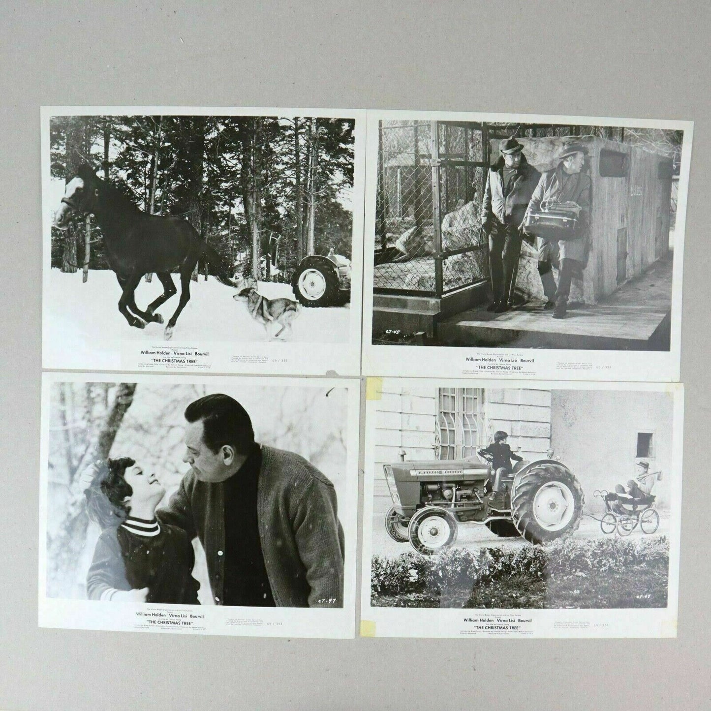 Lot of 4 - Black and White Promotional Photos The Christmas Tree