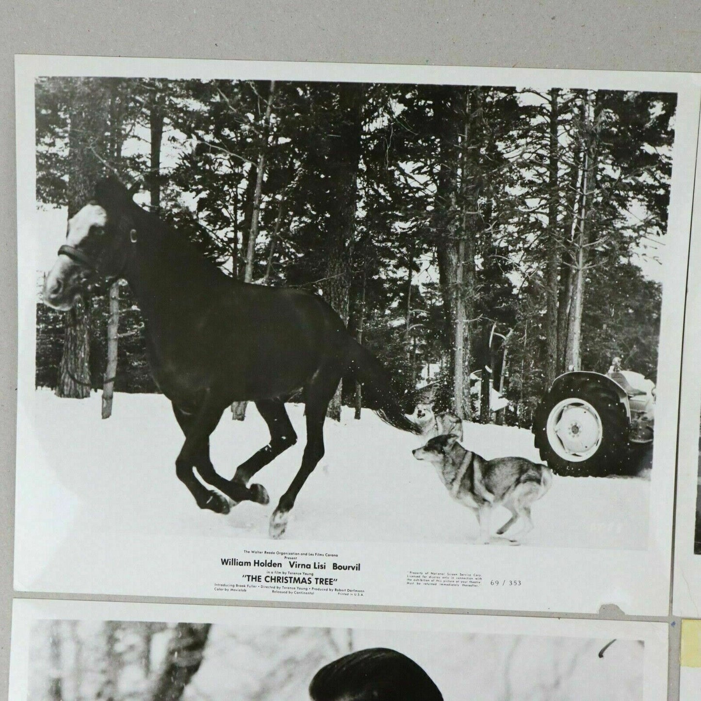 Lot of 4 - Black and White Promotional Photos The Christmas Tree