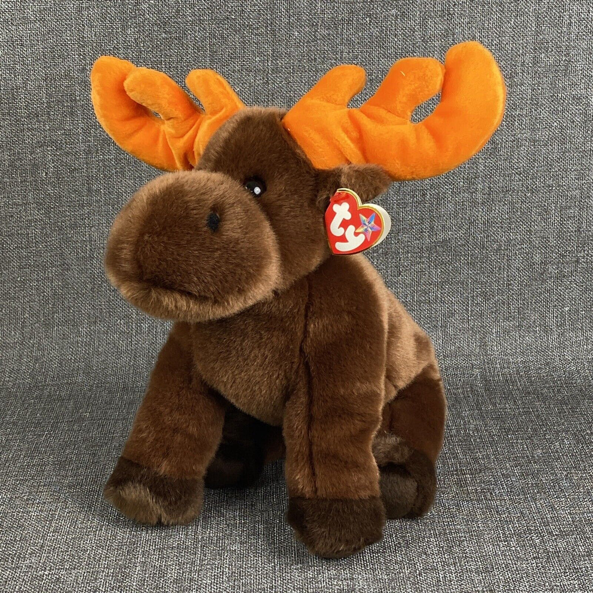 CHOCOLATE the Moose TY BEANIE BABY 11" Tall , EXCELLENT