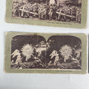 Stereoview Card Lot Calvary, Crucifixion, Catholic, 10 Double sided Cards