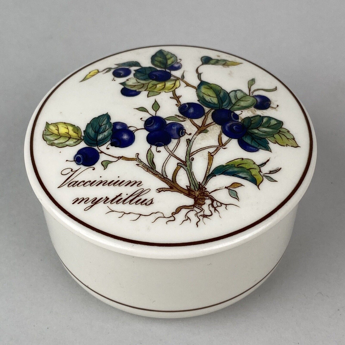 Villeroy Boch Botanica Candy Trinket Dish Bowl Vaccinium Myrtillus Blueberry