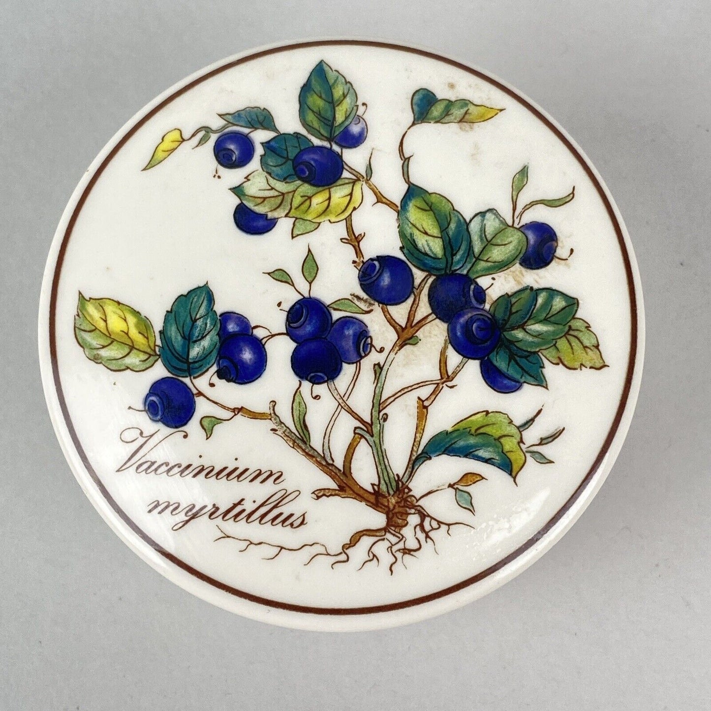 Villeroy Boch Botanica Candy Trinket Dish Bowl Vaccinium Myrtillus Blueberry