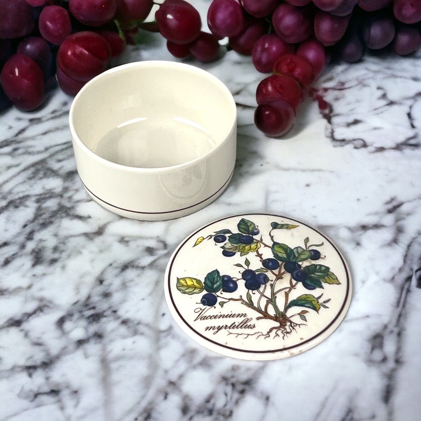 Villeroy Boch Botanica Candy Trinket Dish Bowl Vaccinium Myrtillus Blueberry