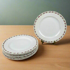 Set of 6 Vintage TK Czechoslovakia Floral Plates with Gold Trim