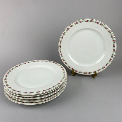 Set of 6 Vintage TK Czechoslovakia Floral Plates with Gold Trim