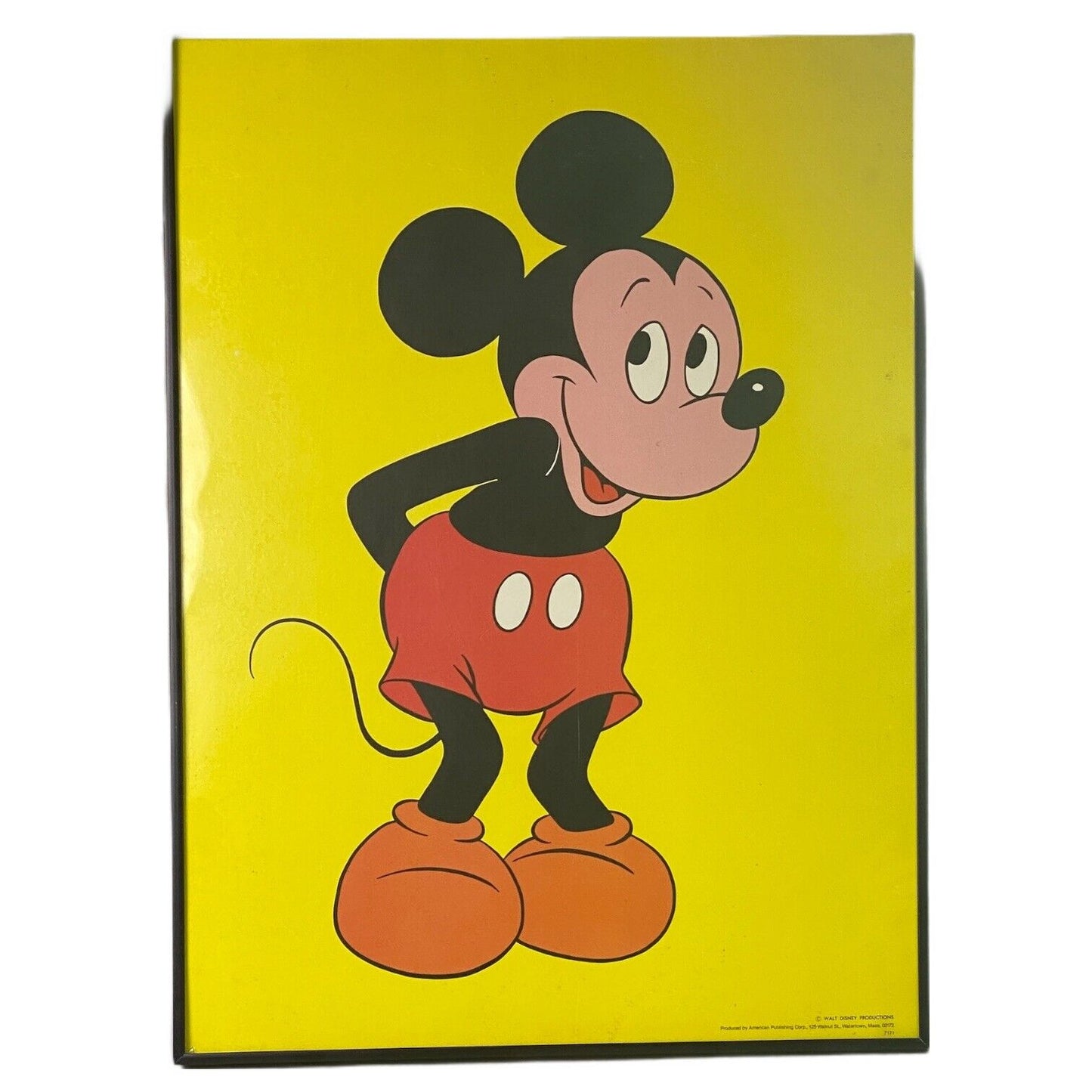 Vintage Unique Disney Mickey Mouse Framed Picture 24" x18"