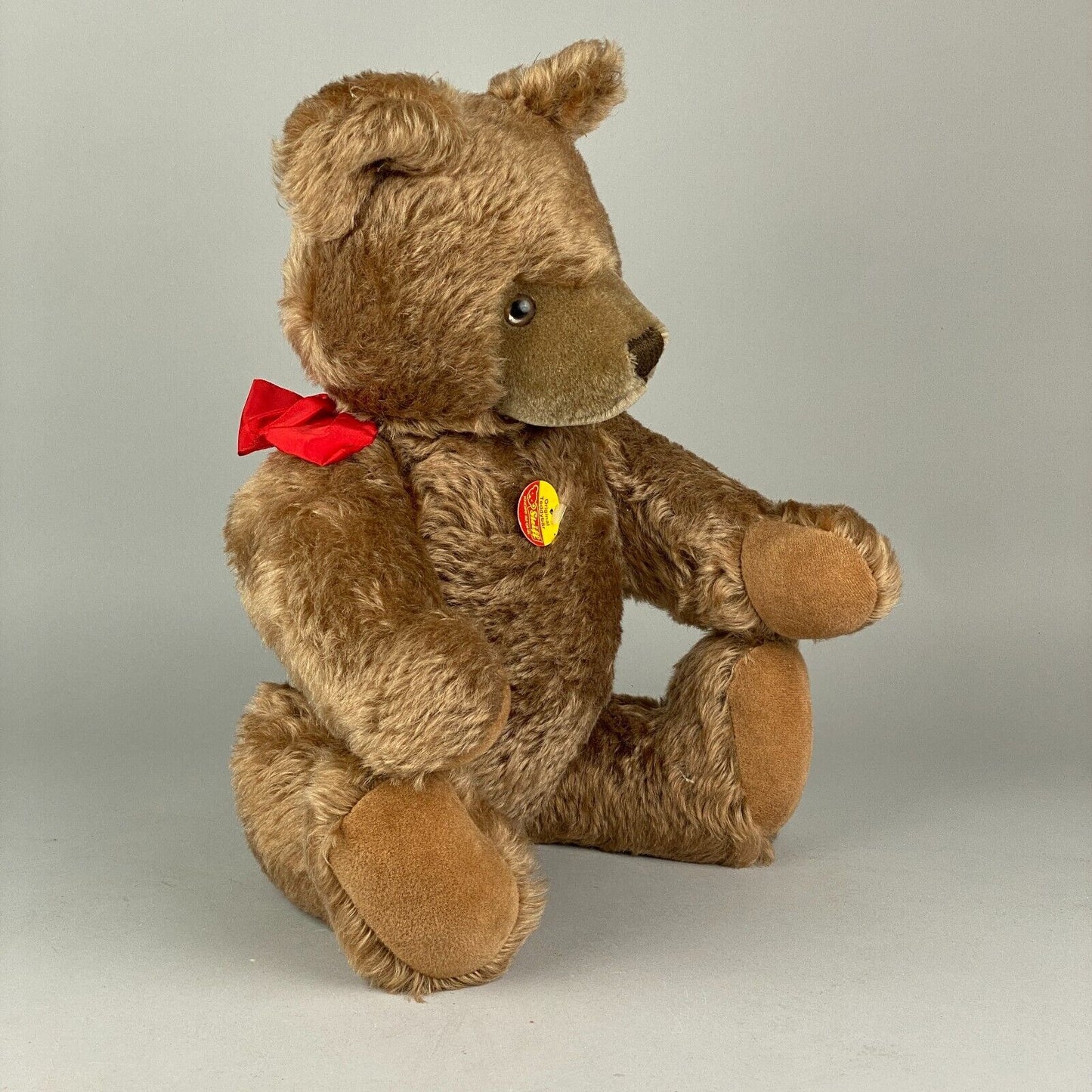 Steiff Teddy Bear 5 Jointed 0202/51 Button TAG GROWLER KNOPF IM OHR 20" EUC Vtg