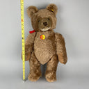 Steiff Teddy Bear 5 Jointed 0202/51 Button TAG GROWLER KNOPF IM OHR 20" EUC Vtg