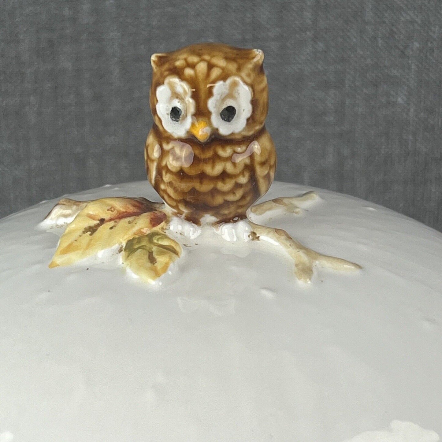 Vintage Owl Perched Cookie Jar Ceramic Mid Century, Small Owl on Top Salt,Pepper