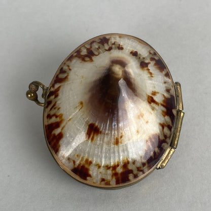 Vintage Limpet Shell Coin Holder 2" Long (Trinket Box)