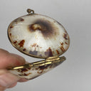 Vintage Limpet Shell Coin Holder 2" Long (Trinket Box)