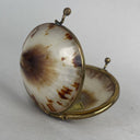 Vintage Limpet Shell Coin Holder 2" Long (Trinket Box)