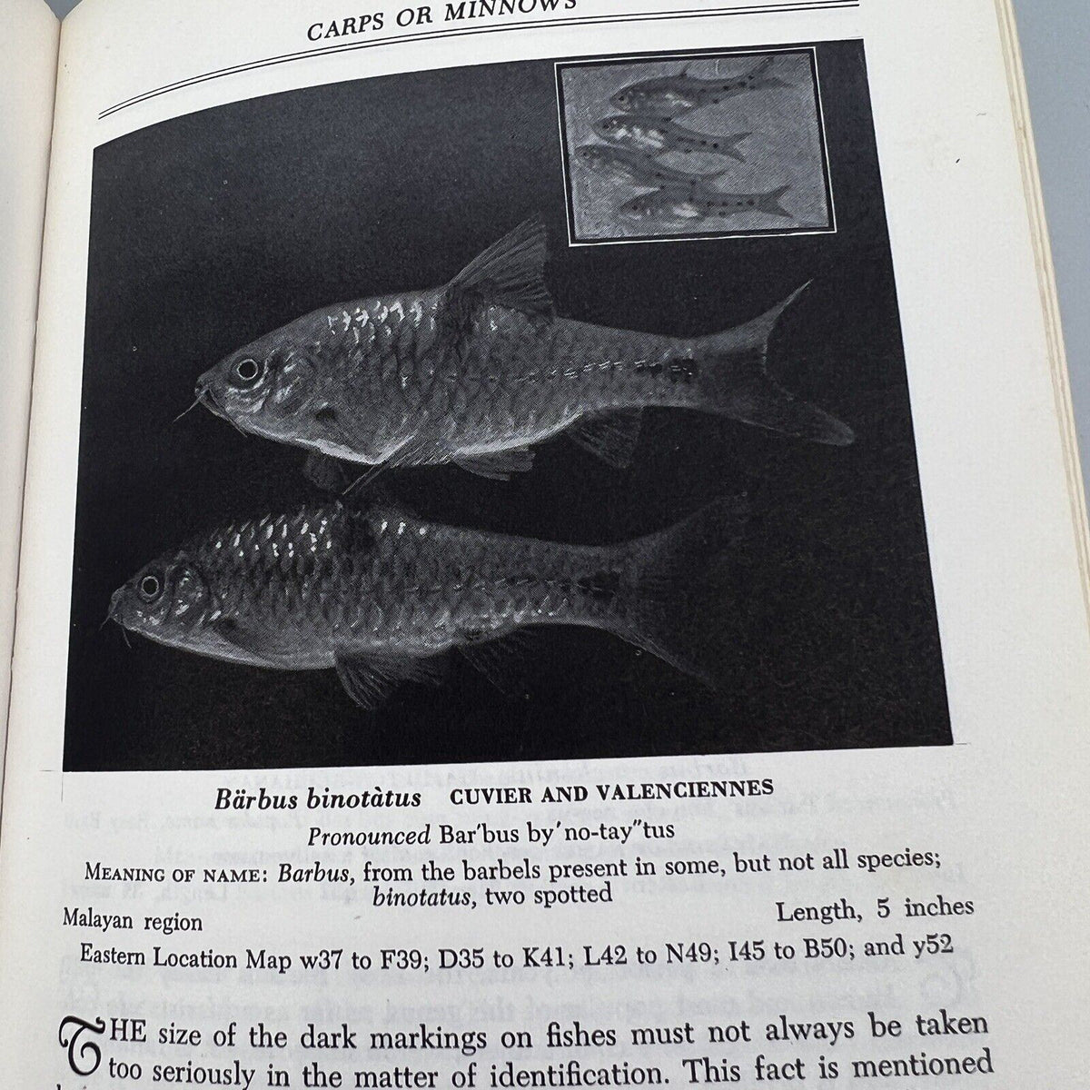 Exotic Aquarium Fishes Dr William T The Innes Book 1966 19th Revised Edition, HC