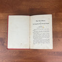 The Bird Boys' Young Sky Pilot First Air Voyage by John Luther Longworthy 1912