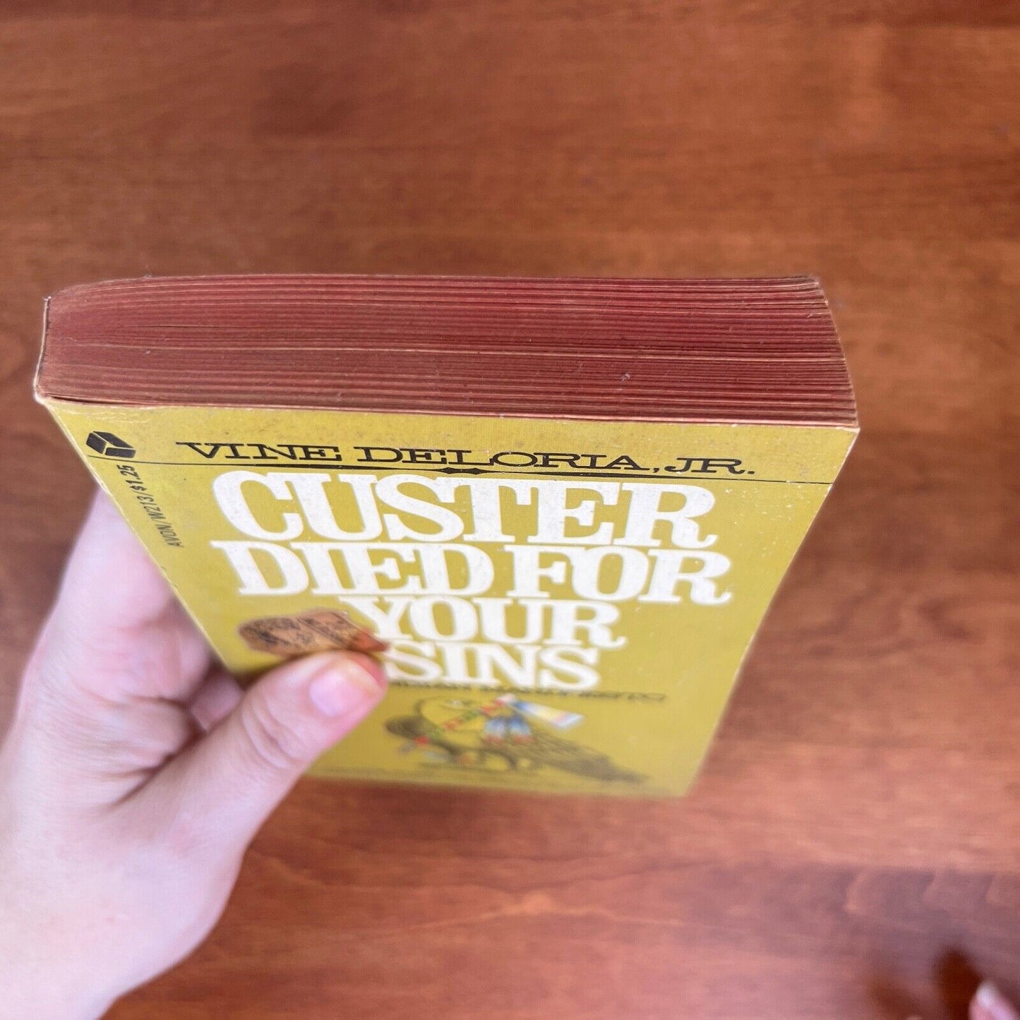 Custer Died for Your Sins An Indian Manifesto Vine Deloria Avon 1972 Paperback