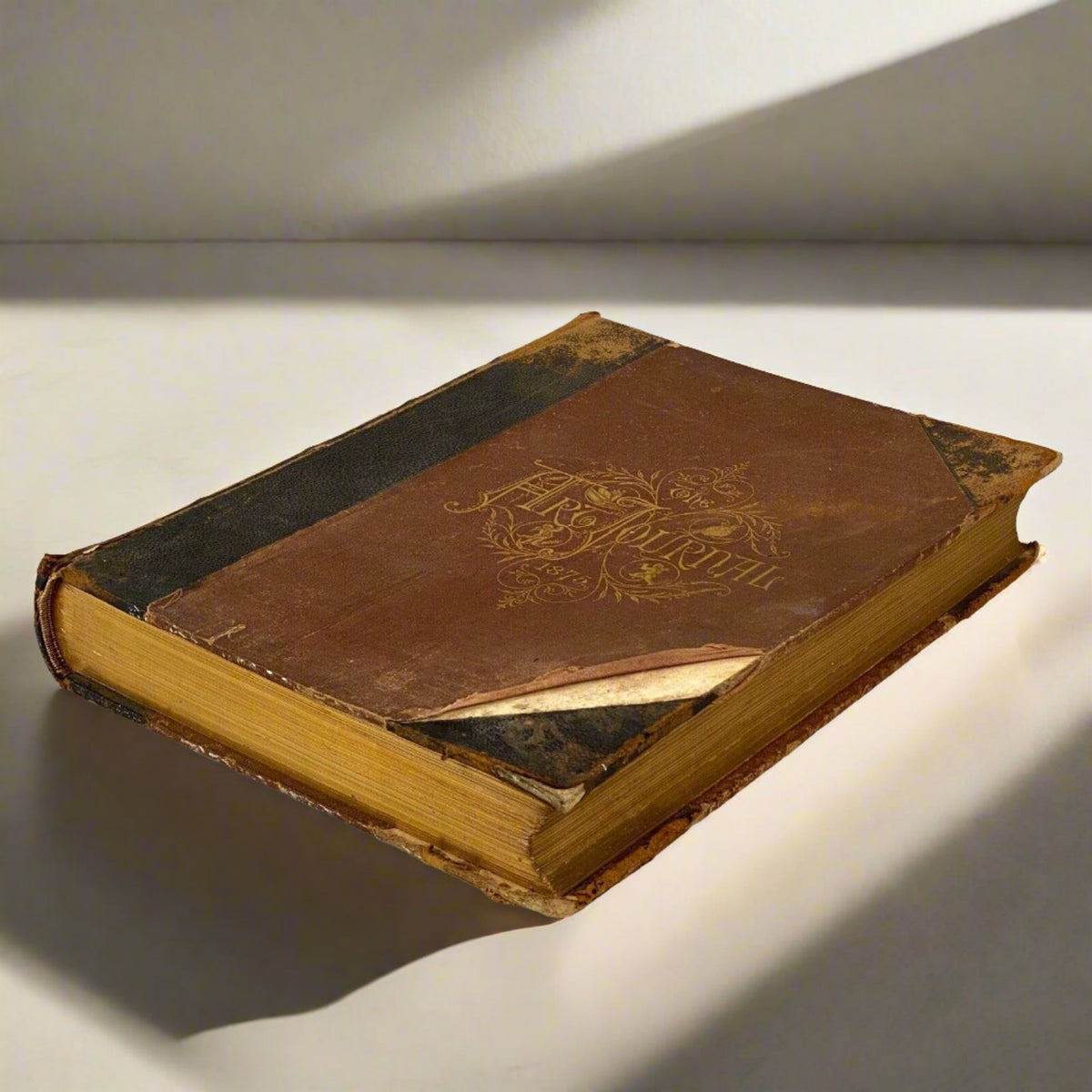 The Art Journal for 1875 Vol. 1 published in New York by Appleton & Co