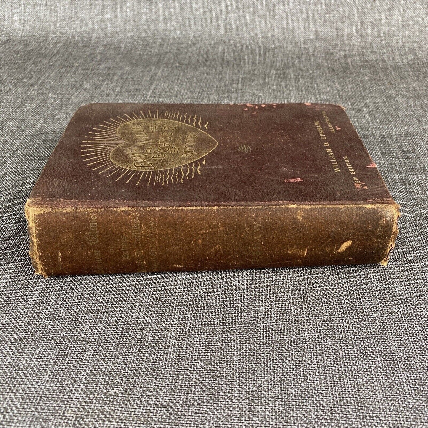 Echos From a Recluse 1896 Earnest Willie (Antique Book)