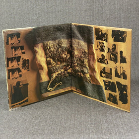 Carole King Tapestry LP Vinyl Record