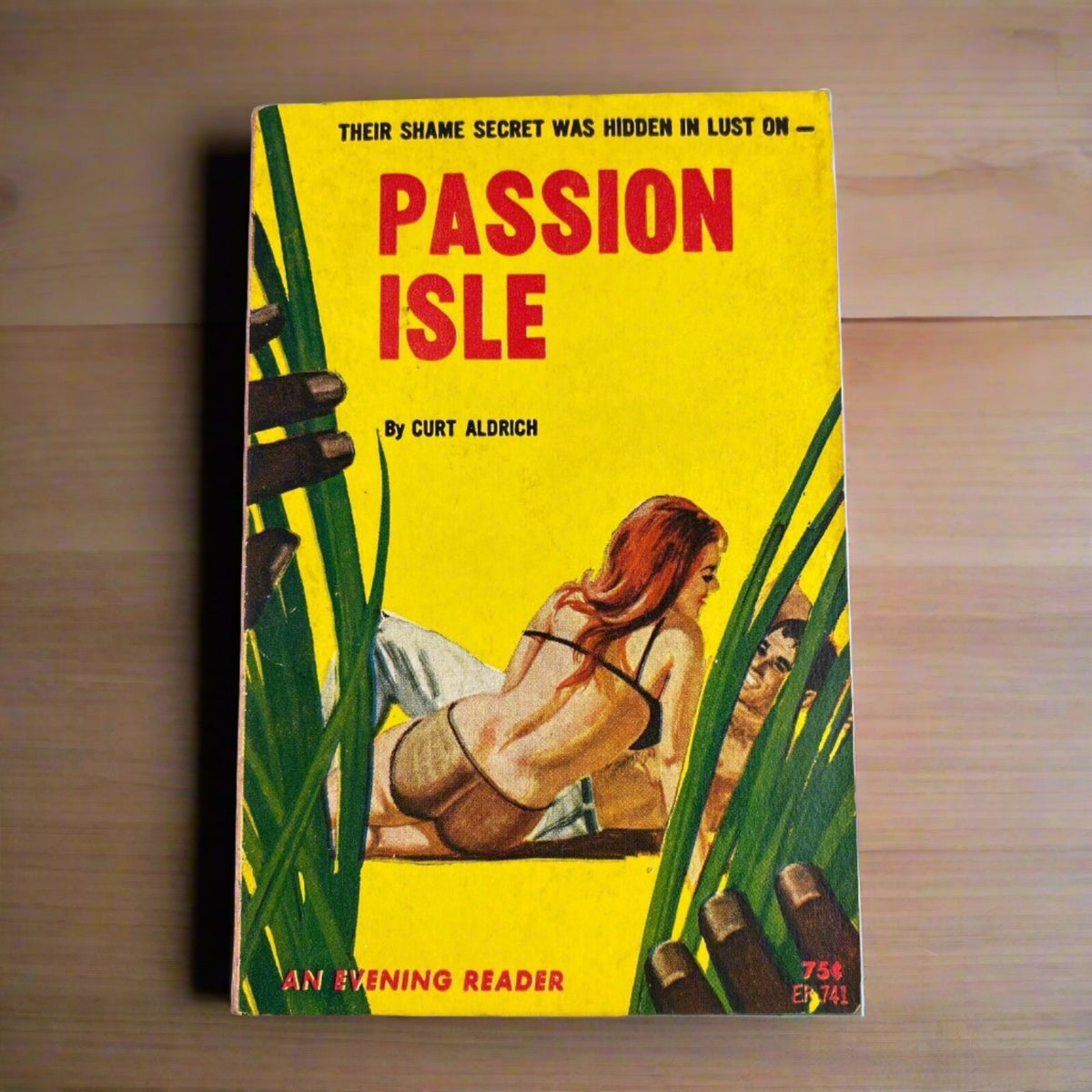 Passion Isle by Curt Aldrich , 1964, Adult Reading, Erotica, Sleeze