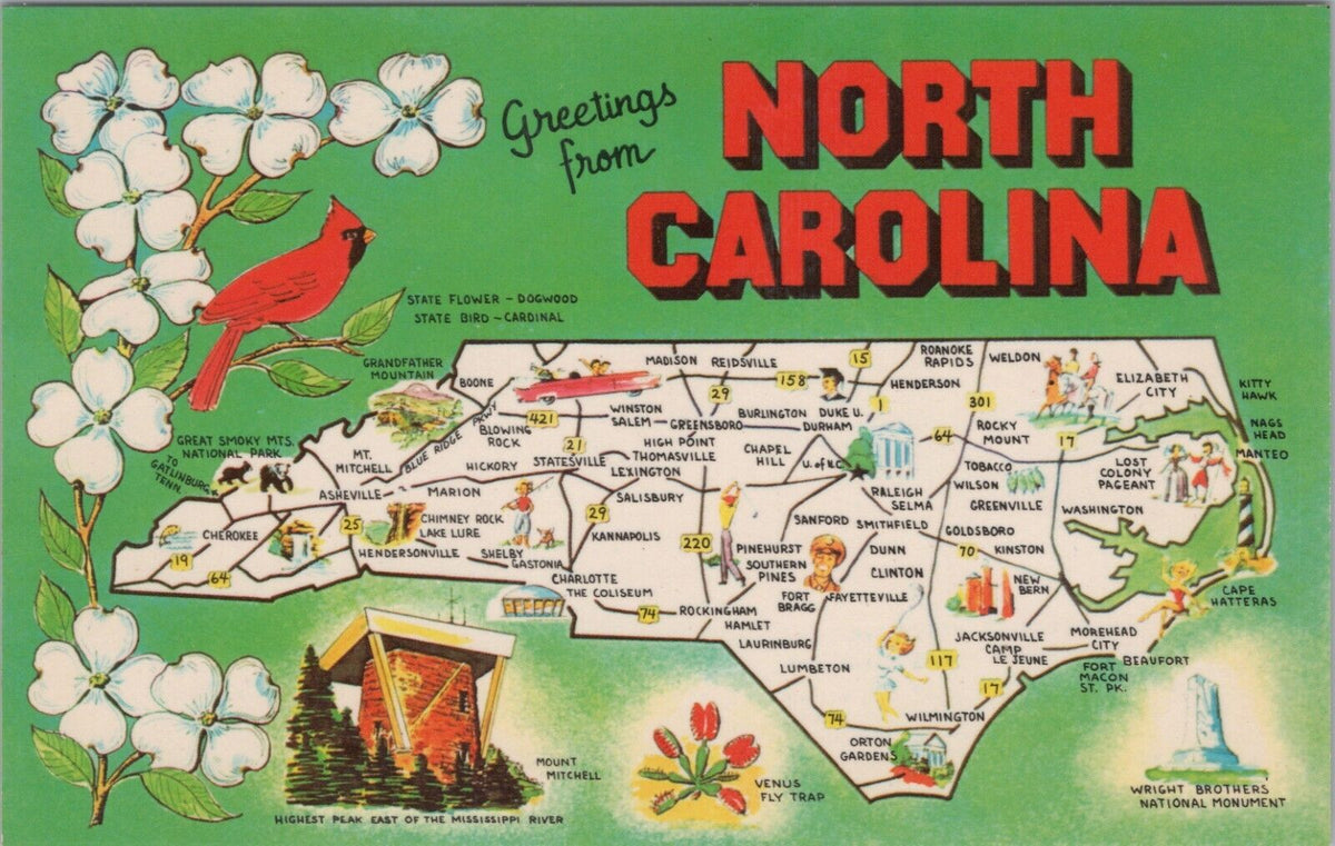 Vintage Postcard from North Carolina, Tar Heel State, Old North State