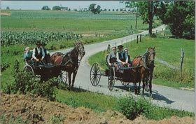 Vintage Postcard of Greetings from Amish The Penna. Dutch Country