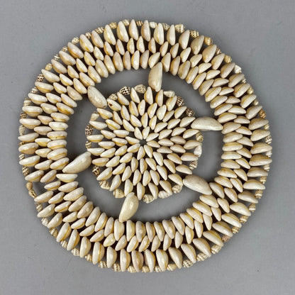 Seashell Doily, Cowry, Puka Trivet