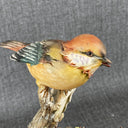 Vintage Italian Capodimonte Hand Painted Bisque Porcelain Mama Birds (Italy)