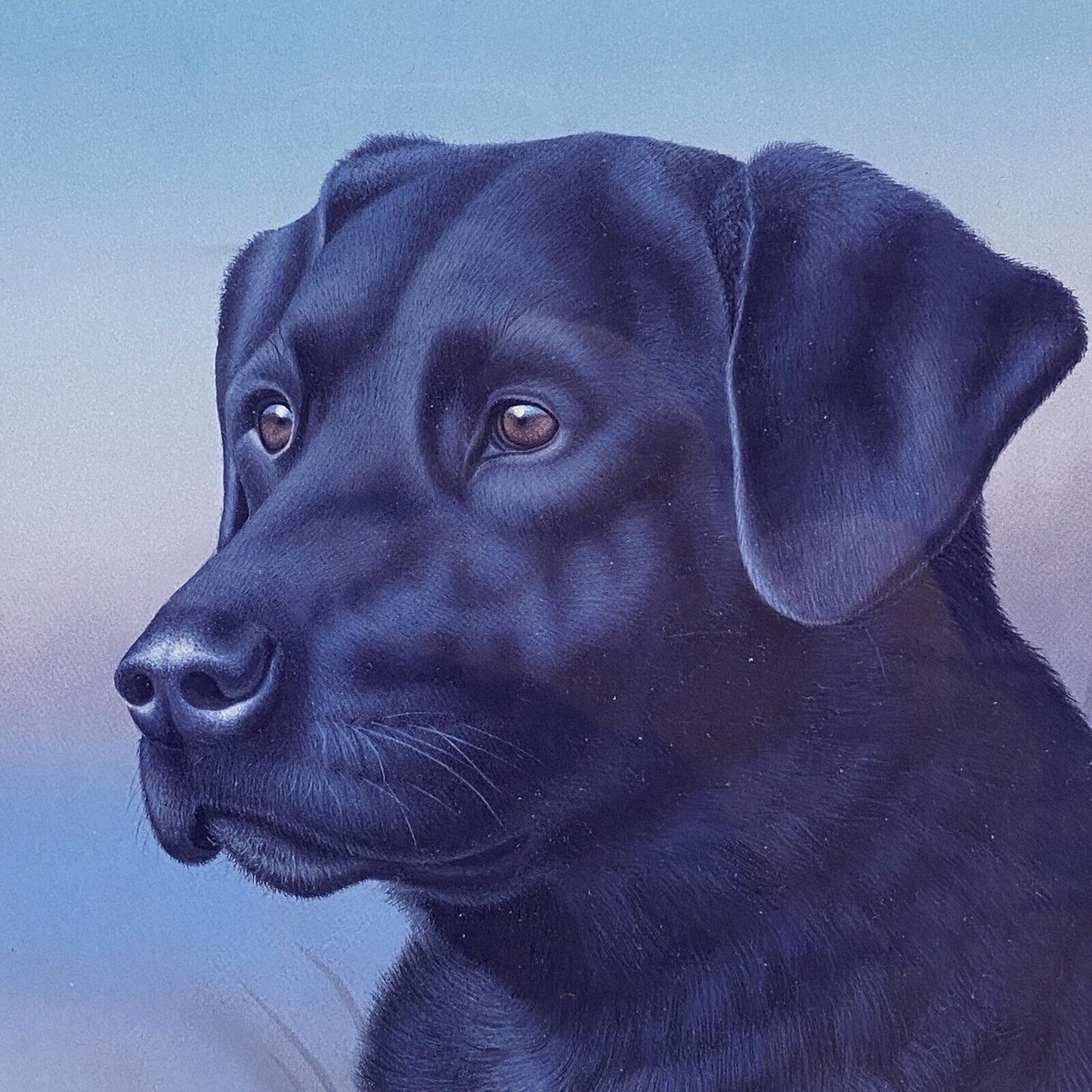 Ronald J Louque, Hunting, Black Labrador Retriever,  Print 28"x 24" , Signed Vtg